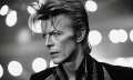 Bild 1 von Hommage an David Bowie - Fotografie by Chris David Evans